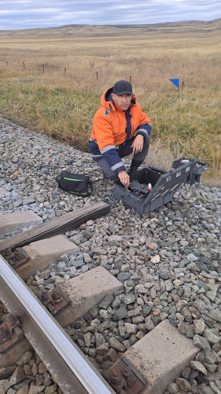 Фотогалерея 2024