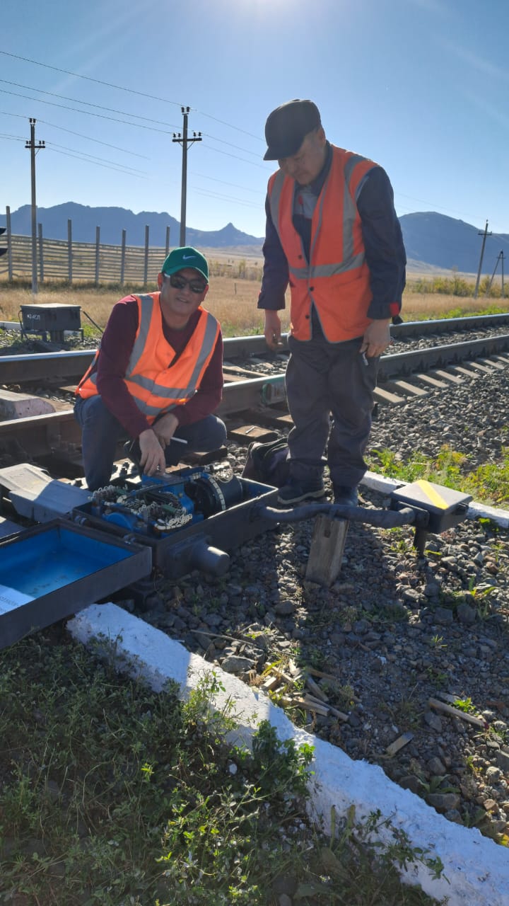 Фотогалерея 2024