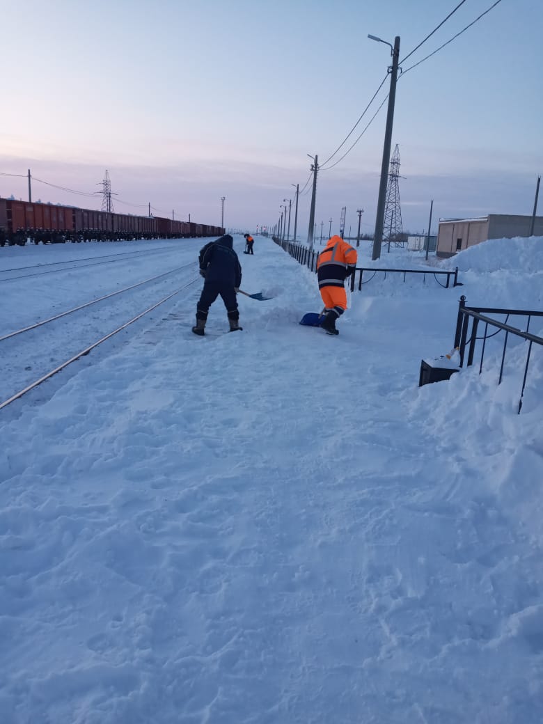 Фотогалерея 2023-2024