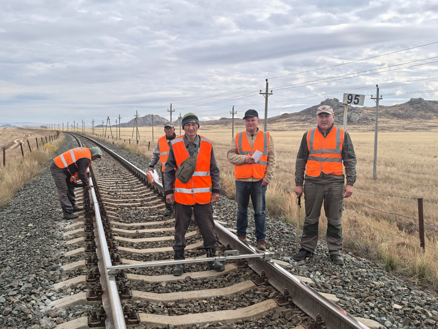 Фотогалерея 2024